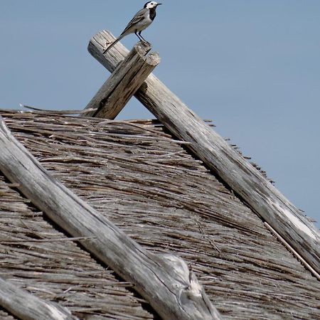 Willa Kadariku Tourism Farm Sakla Zewnętrze zdjęcie