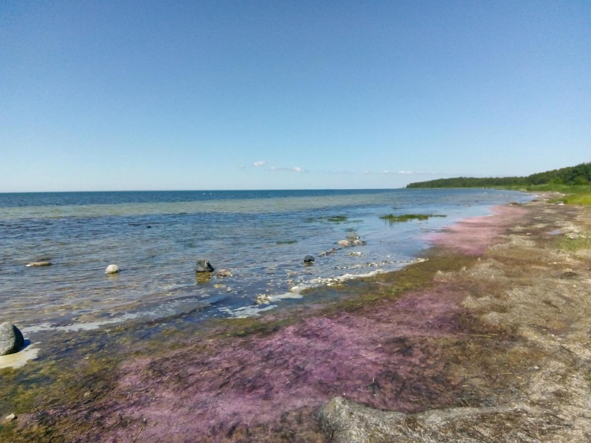 Willa Kadariku Tourism Farm Sakla Zewnętrze zdjęcie
