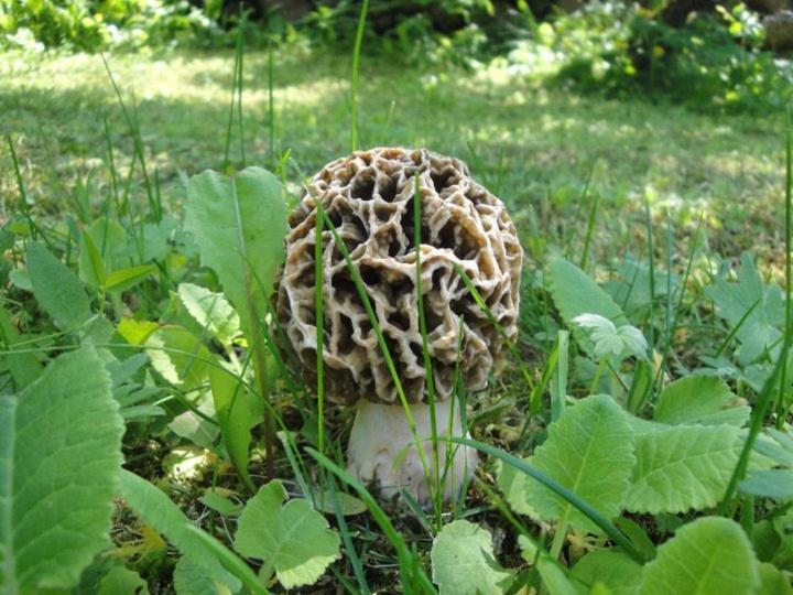 Willa Kadariku Tourism Farm Sakla Zewnętrze zdjęcie